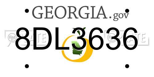 8DL3636 Georgia License Plate
