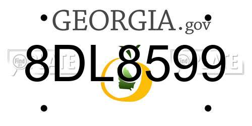 8DL8599 Georgia License Plate