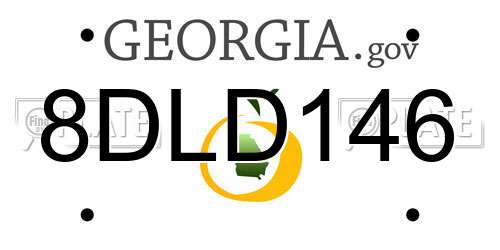 8DLD146 Georgia License Plate