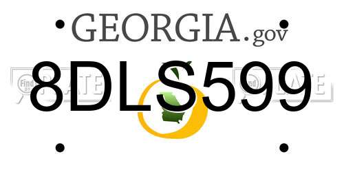 8DLS599 Georgia License Plate
