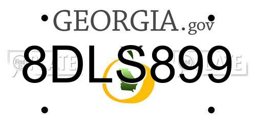 8DLS899 Georgia License Plate
