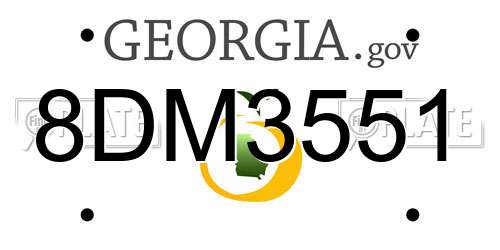 8DM3551 Georgia License Plate