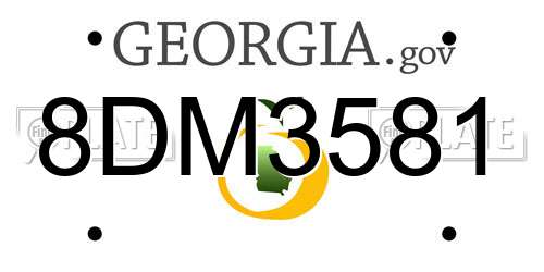 8DM3581 Georgia License Plate
