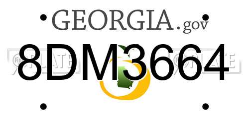 8DM3664 Georgia License Plate