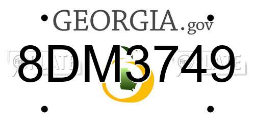 8DM3749 Georgia License Plate