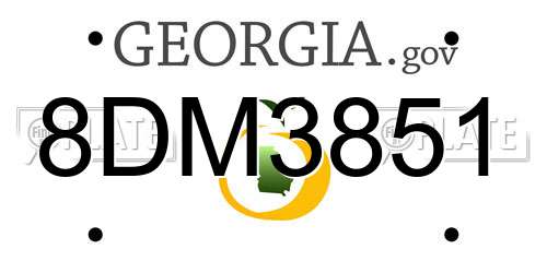 8DM3851 Georgia License Plate
