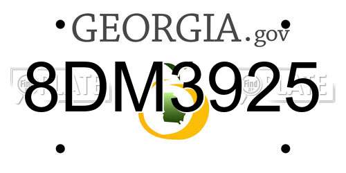 8DM3925 Georgia License Plate