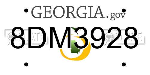 8DM3928 Georgia License Plate