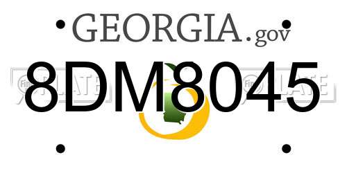 8DM8045 Georgia License Plate