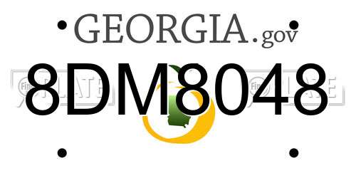 8DM8048 Georgia License Plate