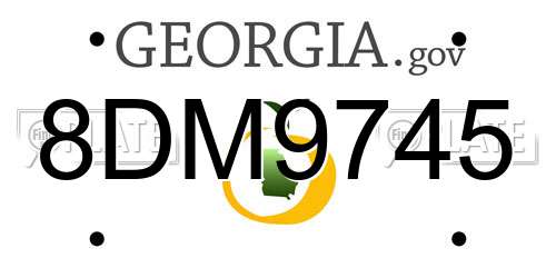 8DM9745 Georgia License Plate