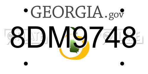 8DM9748 Georgia License Plate