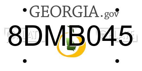 8DMB045 Georgia License Plate