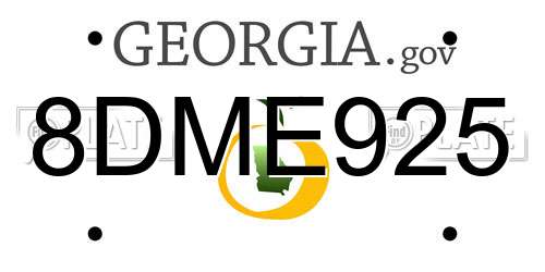 8DME925 Georgia License Plate