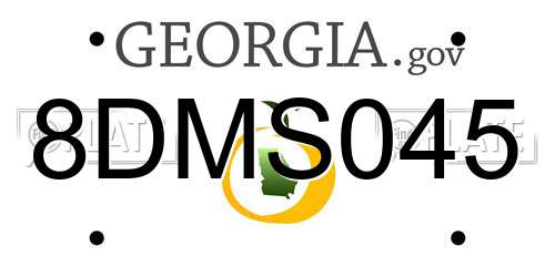 8DMS045 Georgia License Plate