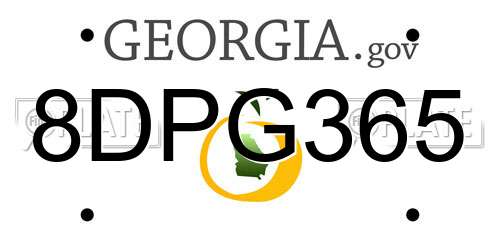 8DPG365 Georgia License Plate