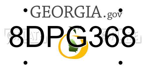 8DPG368 Georgia License Plate