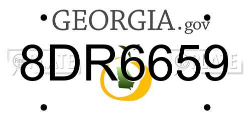8DR6659 Georgia License Plate