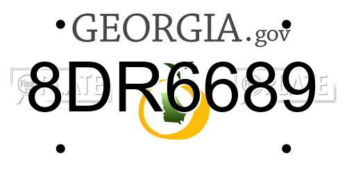 8DR6689 Georgia License Plate