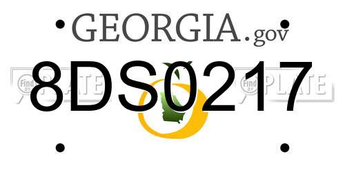 8DS0217 Georgia License Plate
