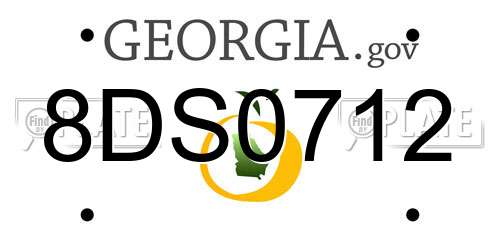 8DS0712 Georgia License Plate