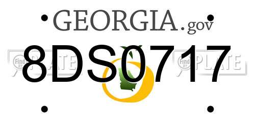8DS0717 Georgia License Plate