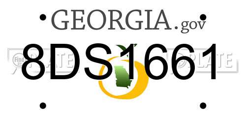 8DS1661 Georgia License Plate