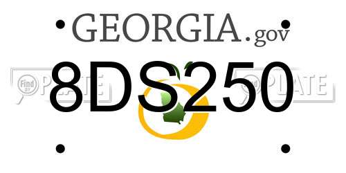8DS250 Georgia License Plate