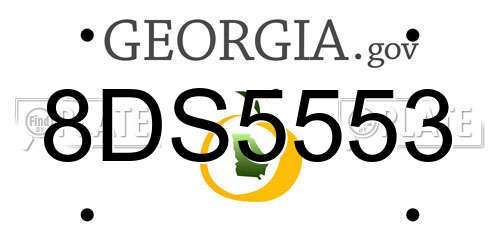 8DS5553 Georgia License Plate