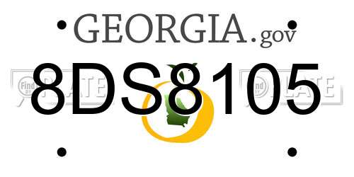 8DS8105 Georgia License Plate