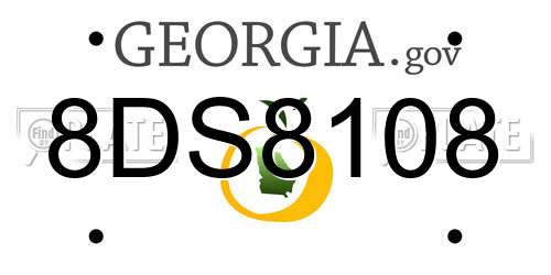 8DS8108 Georgia License Plate