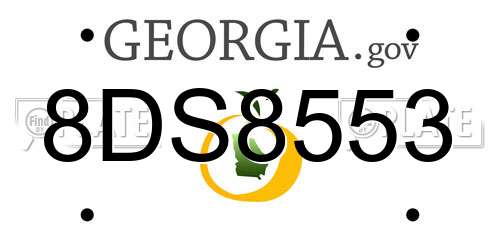 8DS8553 Georgia License Plate