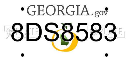 8DS8583 Georgia License Plate