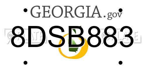 8DSB883 Georgia License Plate