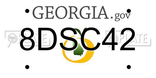 8DSC42 Georgia License Plate