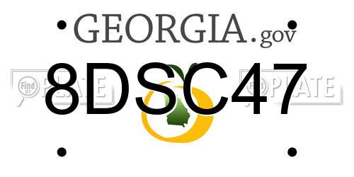 8DSC47 Georgia License Plate