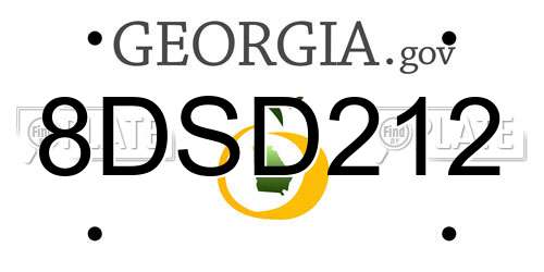 8DSD212 Georgia License Plate