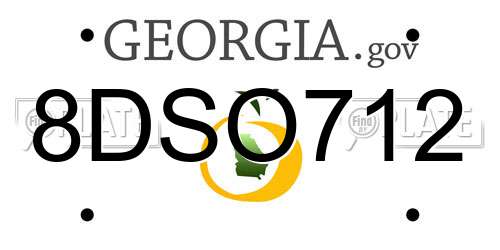 8DSO712 Georgia License Plate