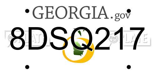 8DSQ217 Georgia License Plate