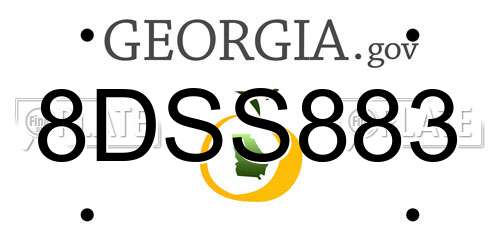 8DSS883 Georgia License Plate