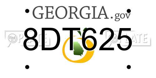 8DT625 Georgia License Plate