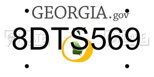 8DTS569 Georgia License Plate