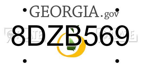 8DZB569 Georgia License Plate