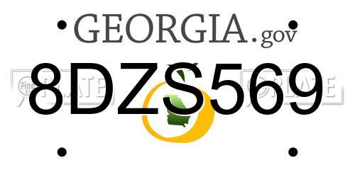 8DZS569 Georgia License Plate