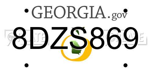 8DZS869 Georgia License Plate