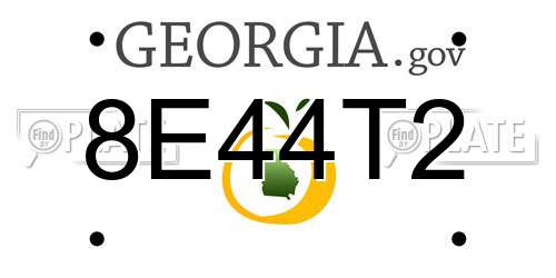 8E44T2 Georgia License Plate