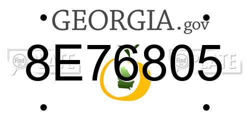 8E76805 Georgia License Plate
