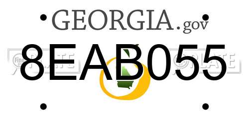 8EAB055 Georgia License Plate