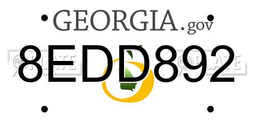 8EDD892 Georgia License Plate