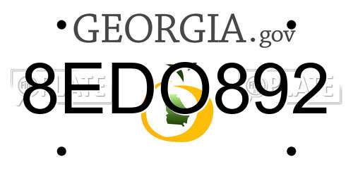 8EDO892 Georgia License Plate